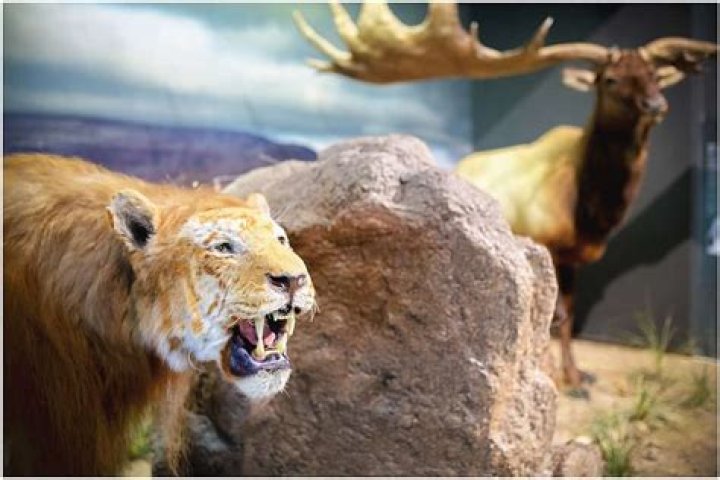 Unveiling The Enduring Legacy Of Jackie O's Parents: Discoveries And Insights