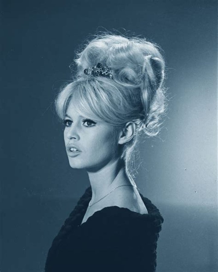 Unveiling The Enigma Of Brigitte Bardot's Son: Discoveries And Insights