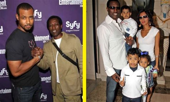 Unveiling The Extraordinary World Of Jelani Asar Snipes: Discoveries And Insights