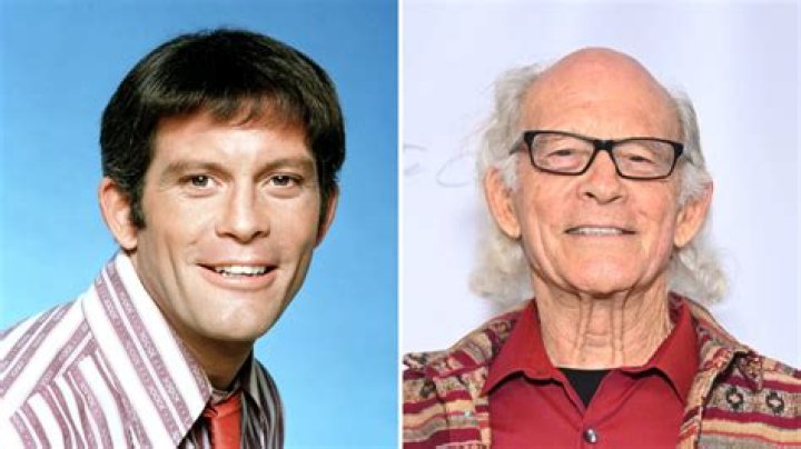 Unveiling The Extraordinary World Of Max Gail: Discoveries And Insights