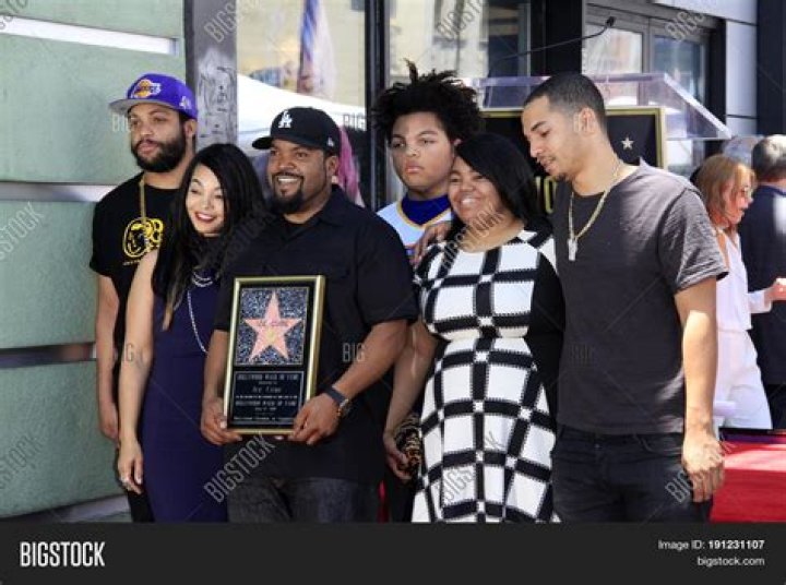 Unveiling The Ice Cube Family: Discoveries And Insights Await