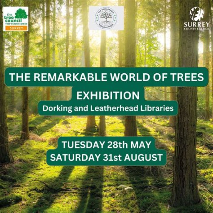 Unveiling The Remarkable World Of Blake Everleigh Zegers: Discoveries And Insights