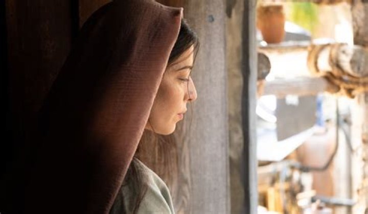 Unveiling The Secrets Of Elizabeth Tabish's Age: Discoveries And Insights