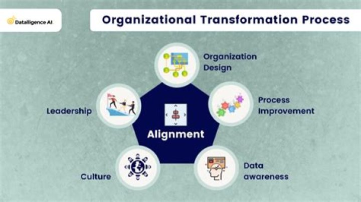 Unveiling The Secrets Of Organizational Transformation With Stella Barey