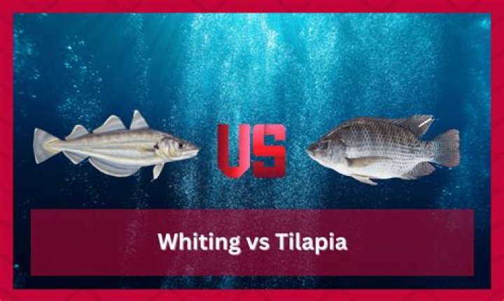 Unveiling The Secrets: Whiting Vs Tilapia