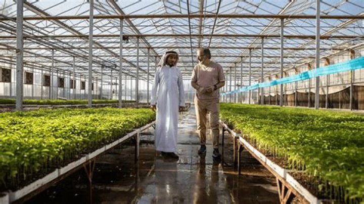 Unveiling The Vibrant World Of Marcela Hoeven: Discoveries And Insights