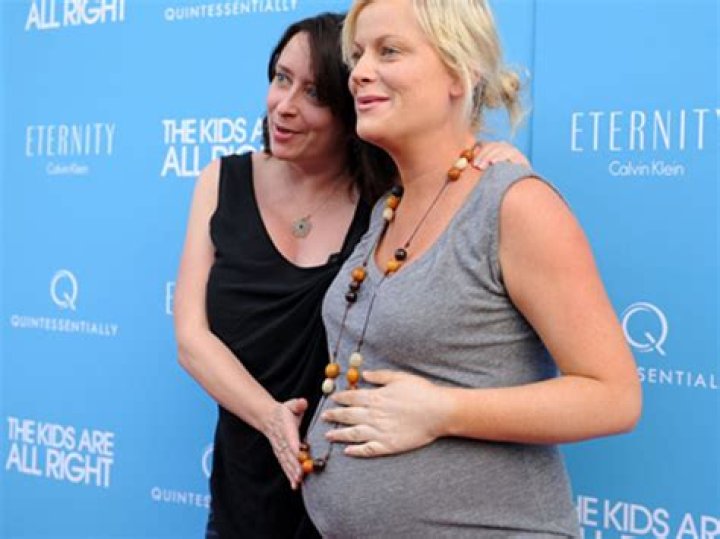 Was Amy Poehler Pregnant With Her Second Child?