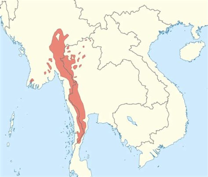 Where Does Karen Gillan Live And Everything You Need To Know