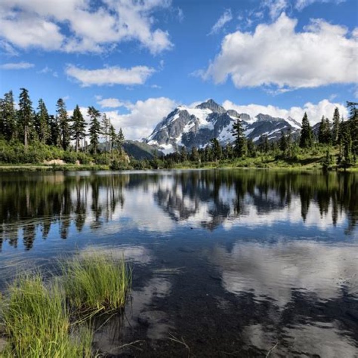 Your Guide: Discovering The Names Of Fathers In Bellingham