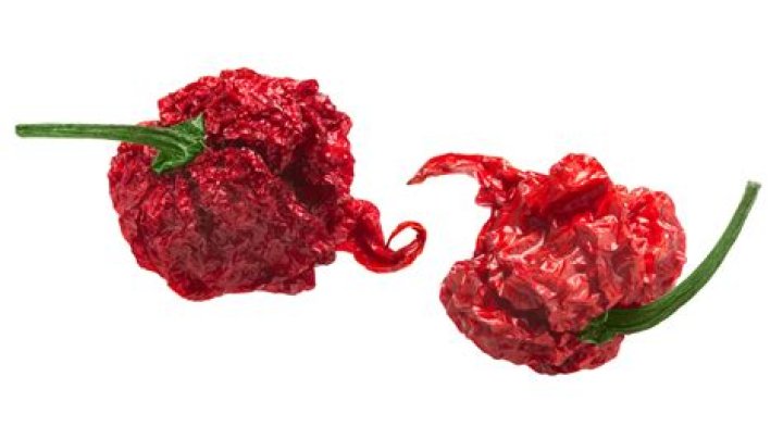 Zesty Helena Chili Peppers: Enhance Your Culinary Creations